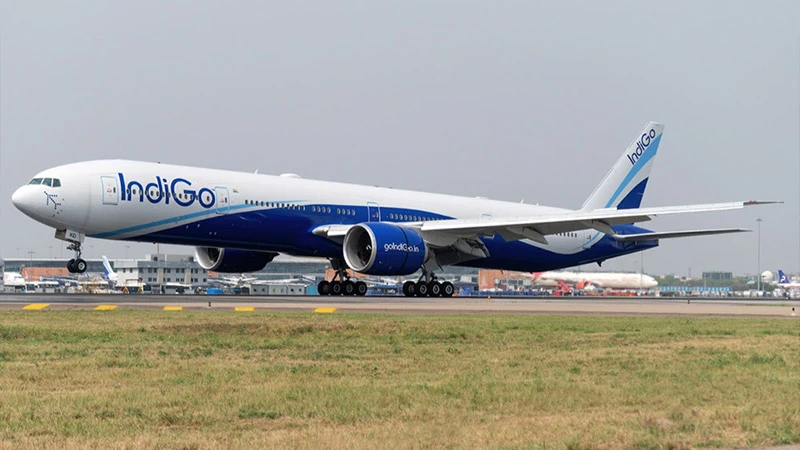indigo