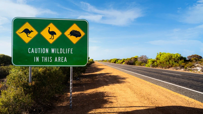 MTU Maintenance Australia: A decade of success