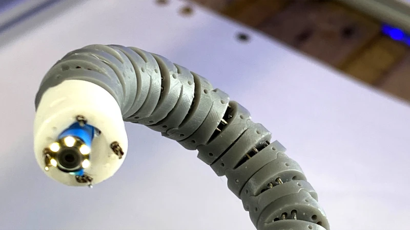 A robot for borescope inspections